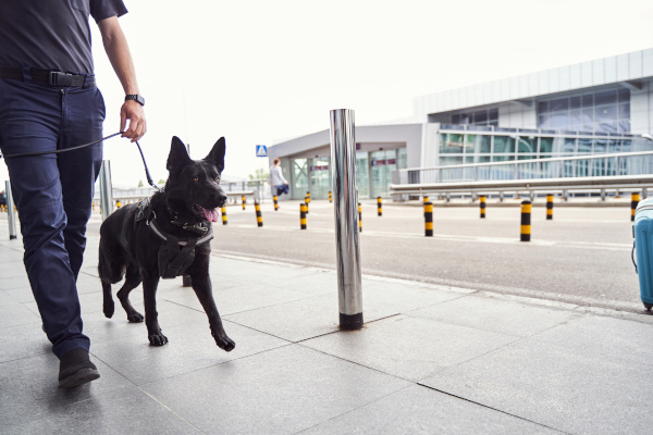 Objektsicherheit: Revierwache Berlin - Security Service